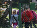 IMG_2537