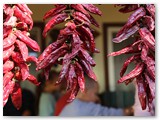 IMG_0155