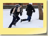 IMG_7487