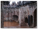 IMG_8266