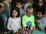IMG_9854