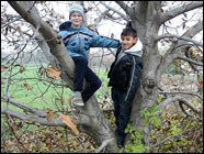 2012. 11. 21. Csavargás a síneken