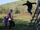IMG_2227