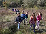 IMG_2232