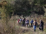 IMG_2234