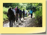IMG_4181