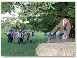 IMG_0882